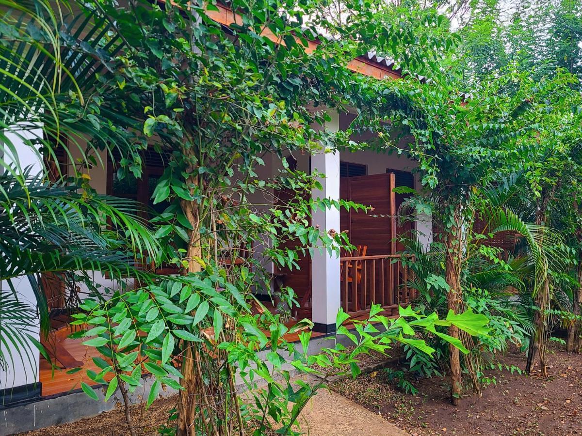 סיגירייה Woodholic Homestay מראה חיצוני תמונה