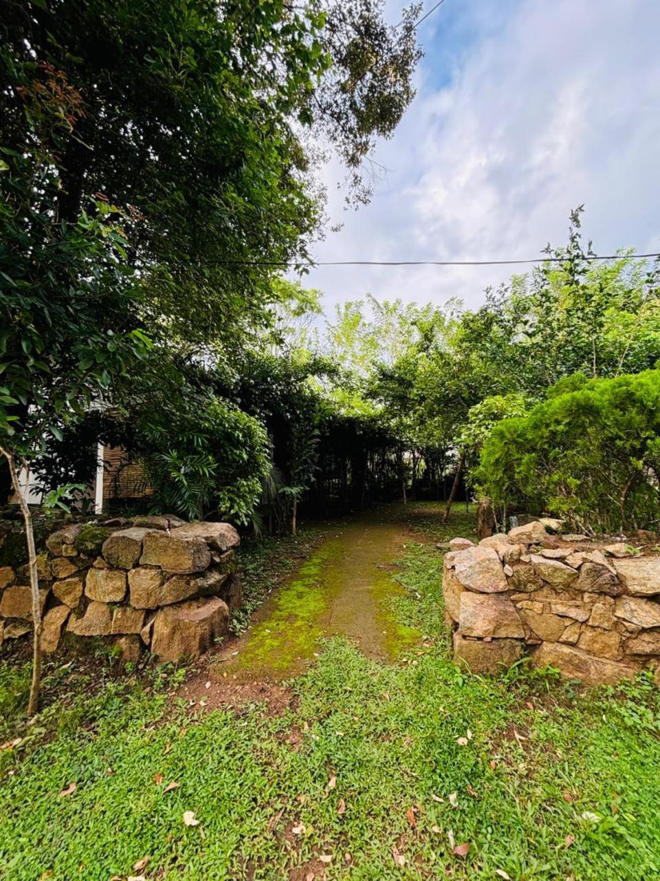 סיגירייה Woodholic Homestay מראה חיצוני תמונה