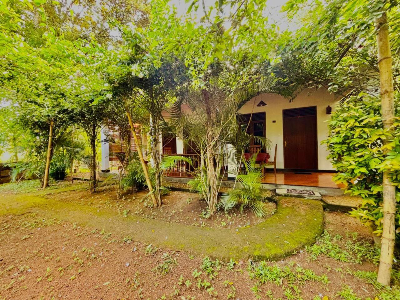 סיגירייה Woodholic Homestay מראה חיצוני תמונה