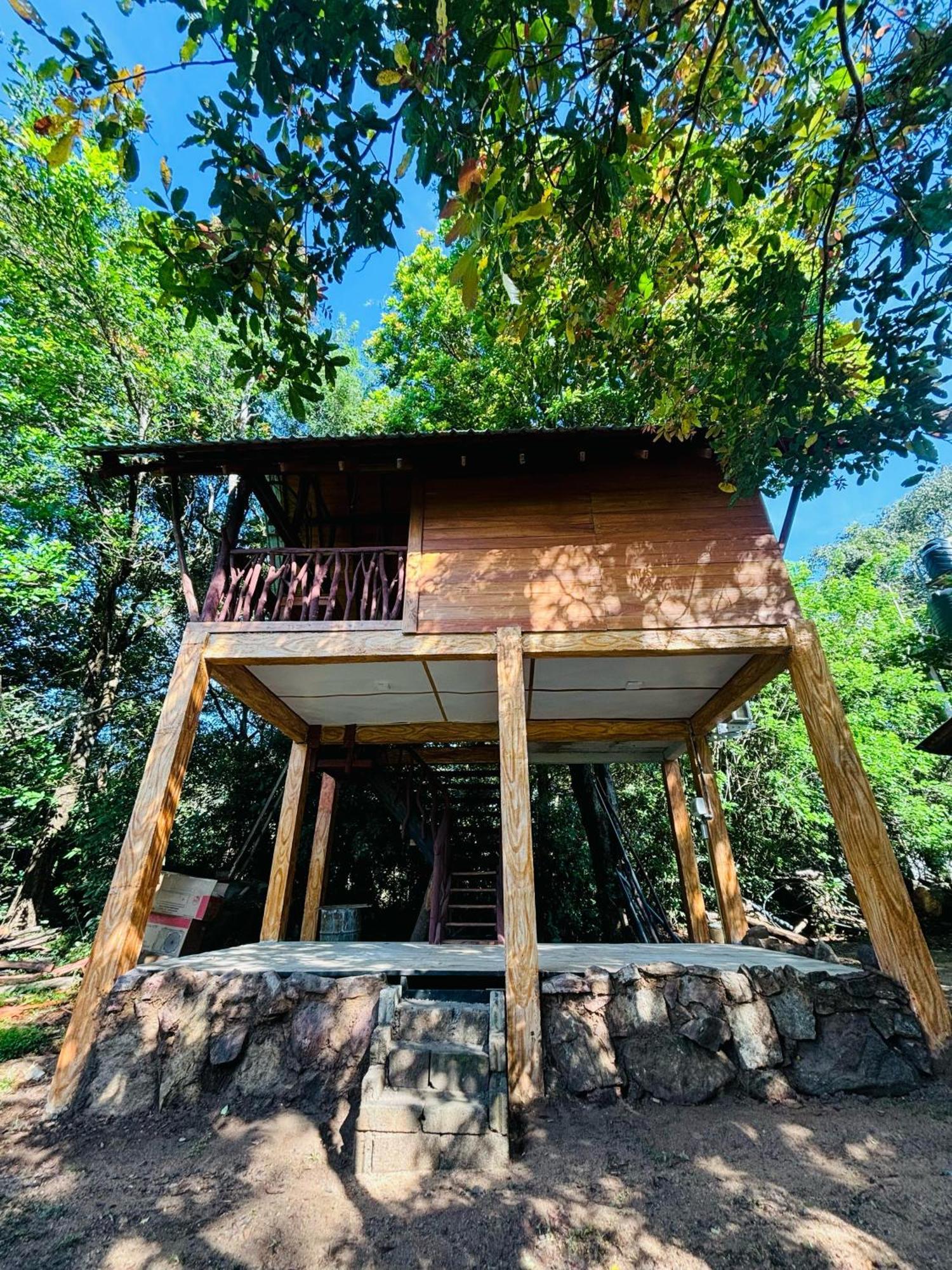 סיגירייה Woodholic Homestay מראה חיצוני תמונה